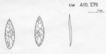 L_W14c1502 A10.0275 L729 cw li